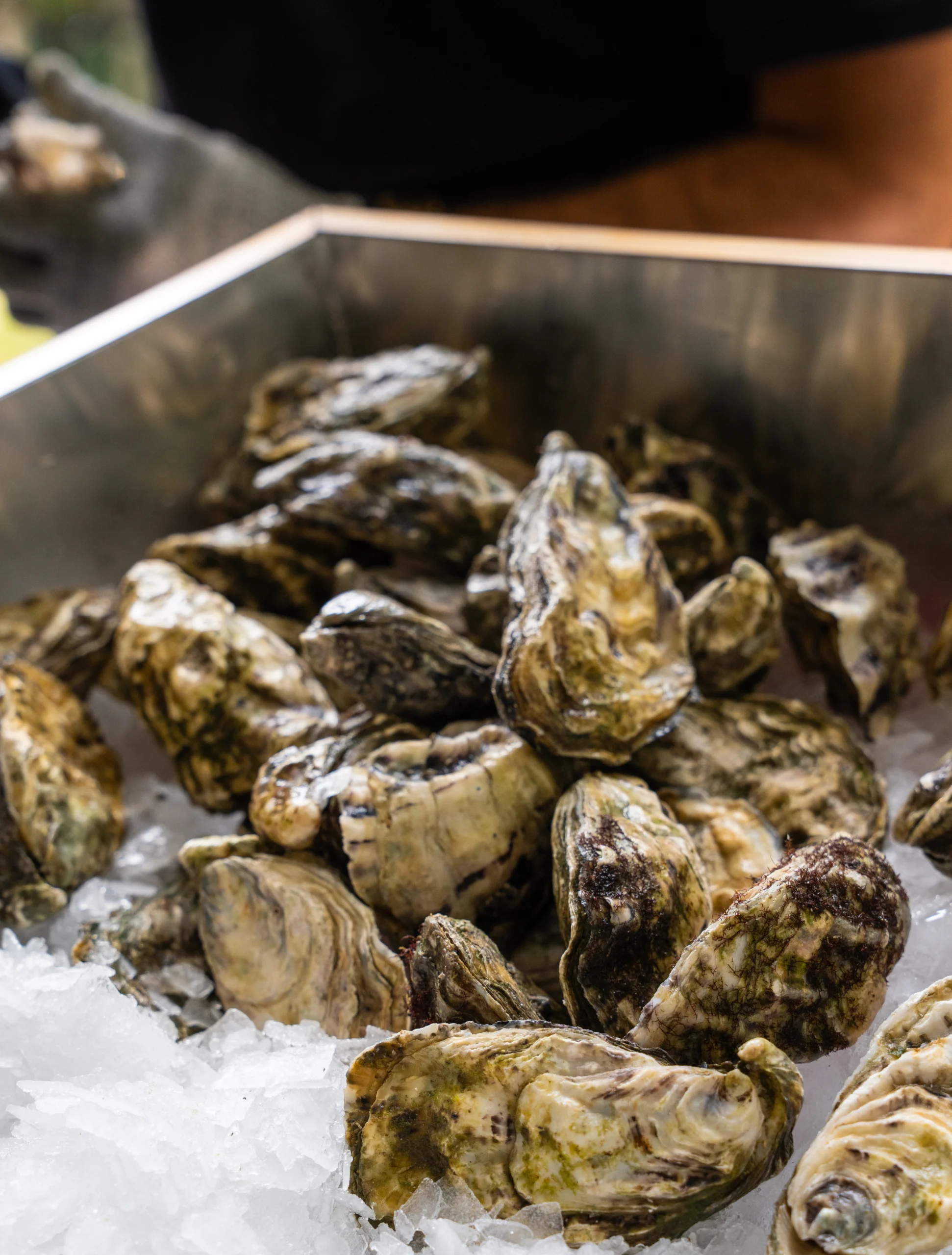 Ostras Evento Asturias